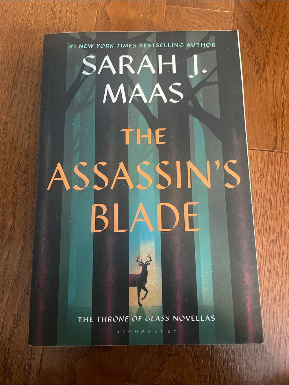 Sarah J Maas - the assassins blade. Throne of glass novella